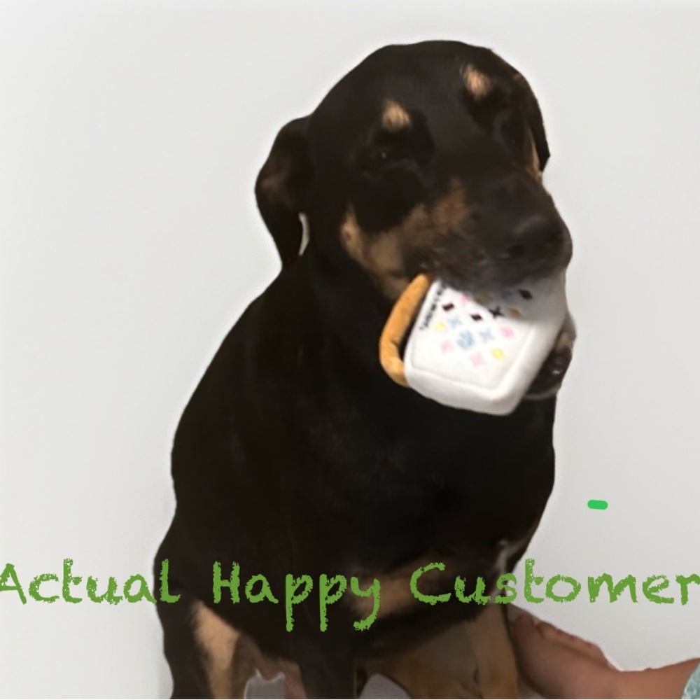 CHOOSE ONE ๐ฉ Chewy Vuitton ๐พ Pawda Holiday Dog Toy Squeeker - Picture 4 of 8